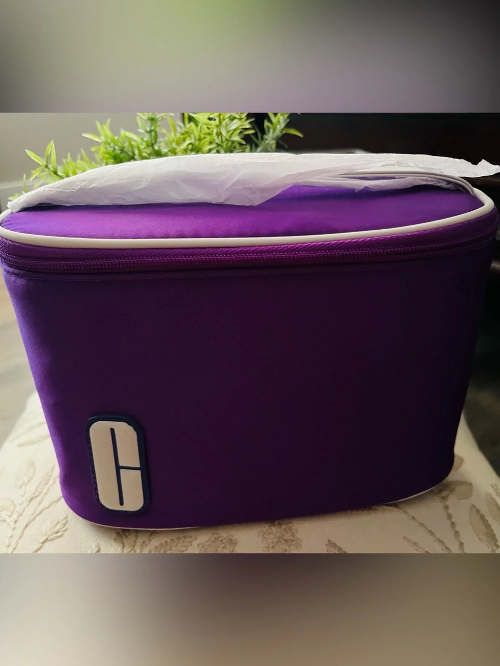 Clinique Larger Size Purple Travel or Daily  Makeup Organizer Case-Bag ~New~